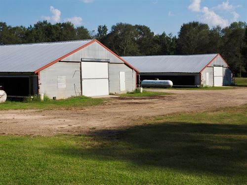 Mississippi Poultry Farms for Sale : Buy Farms for Sale, Find ...