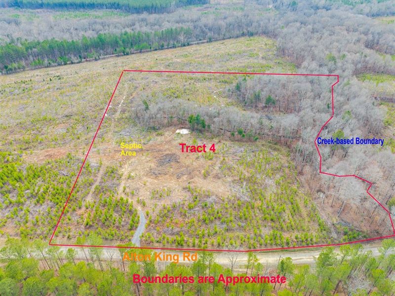 Acreage, Creek Frontage, New Subdiv : Goldston : Chatham County : North Carolina