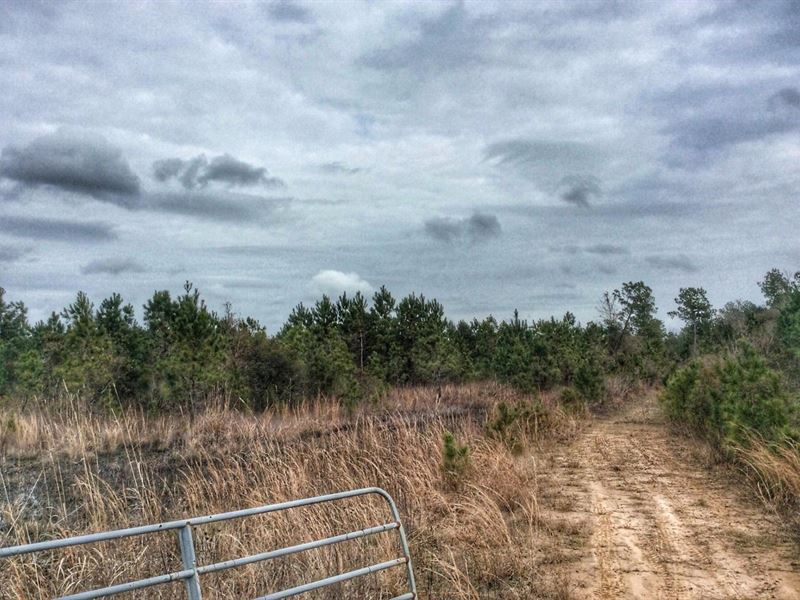 Hwy 27 Tract, Calcasieu Parish, 129 : Dequincy : Calcasieu Parish : Louisiana