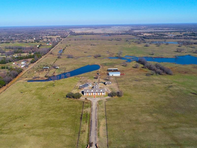 Mansion Meadow : Saltillo : Hopkins County : Texas