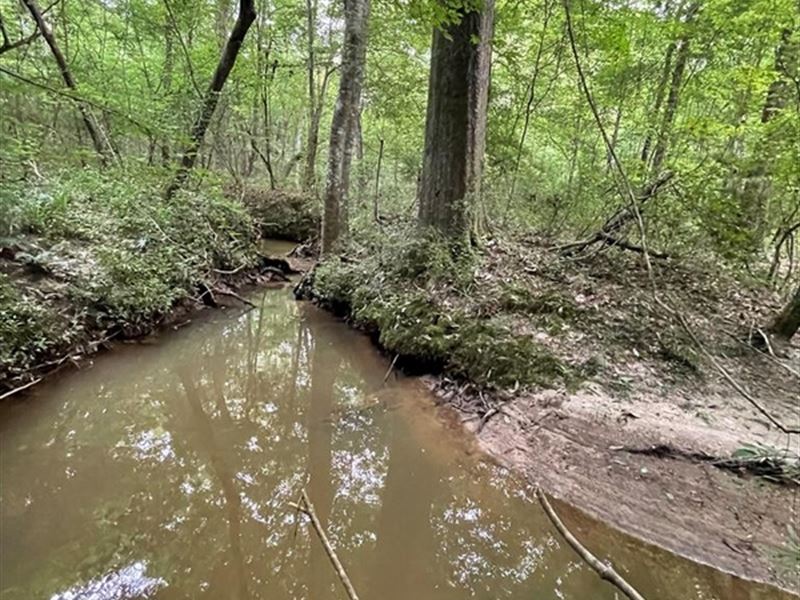 Georgetown, North 124 : Georgetown : Copiah County : Mississippi