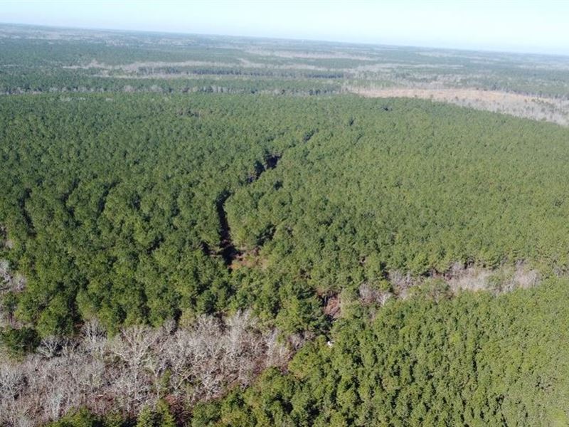 157.87 Acres in Oktibbeha County : Starkville : Oktibbeha County : Mississippi