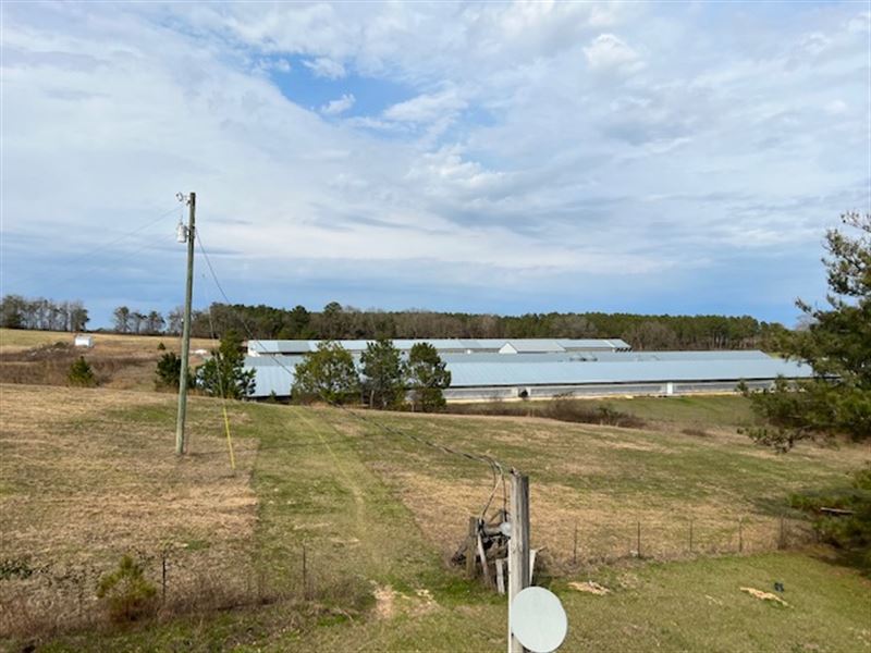 4 House Breeder Farm with Acreage : Clio : Barbour County : Alabama