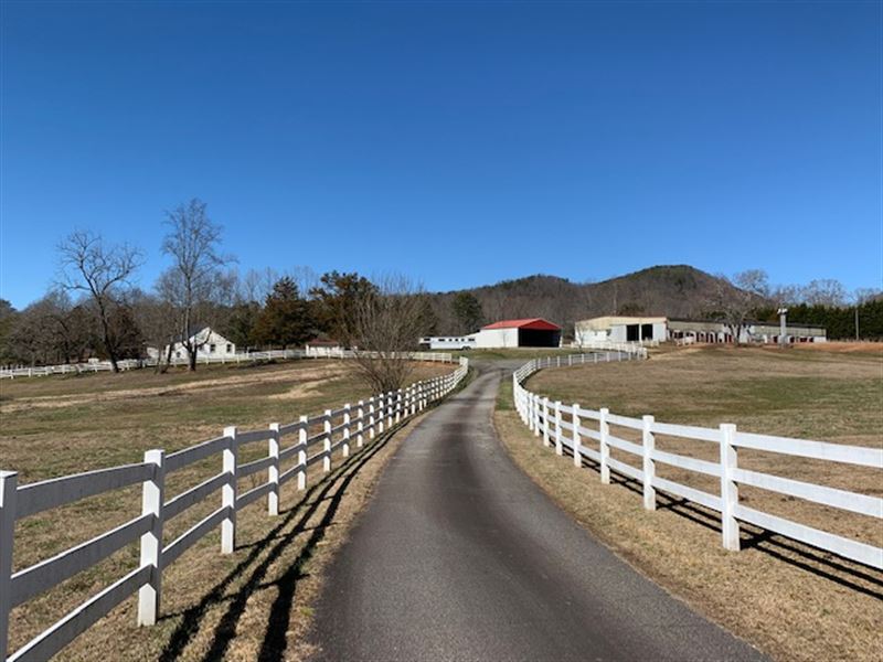 Misty Meadows Horse Farm : Clarkesville : Habersham County : Georgia