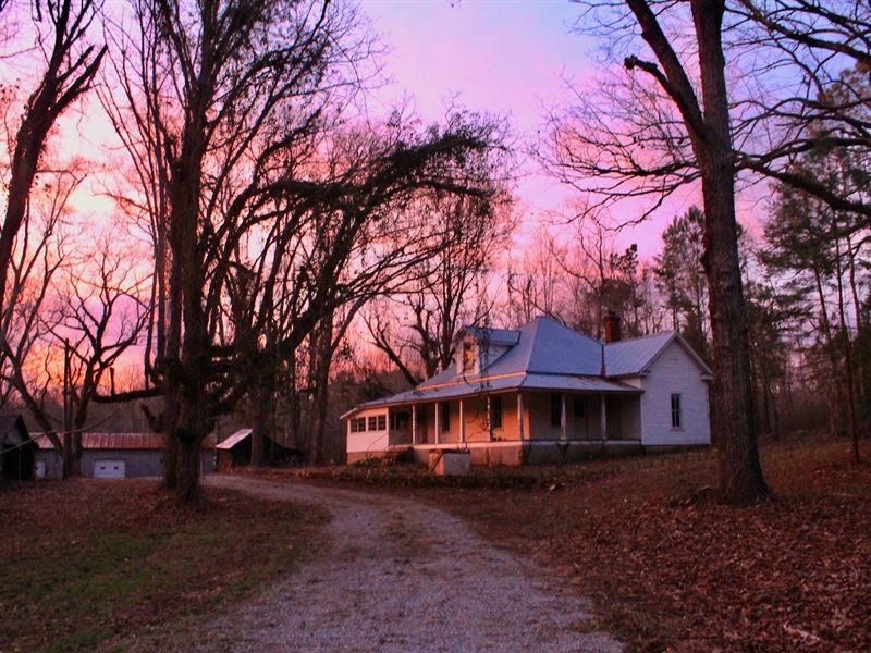 Homestead / Hunting, Lay Lake : Shelby : Shelby County : Alabama