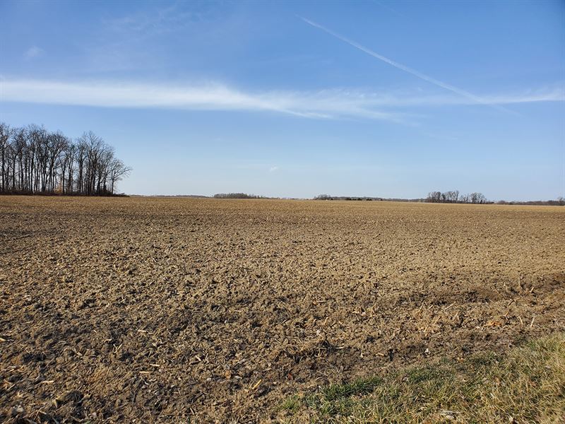 Two Clinton County Grain Farms : Wilmington : Clinton County : Ohio