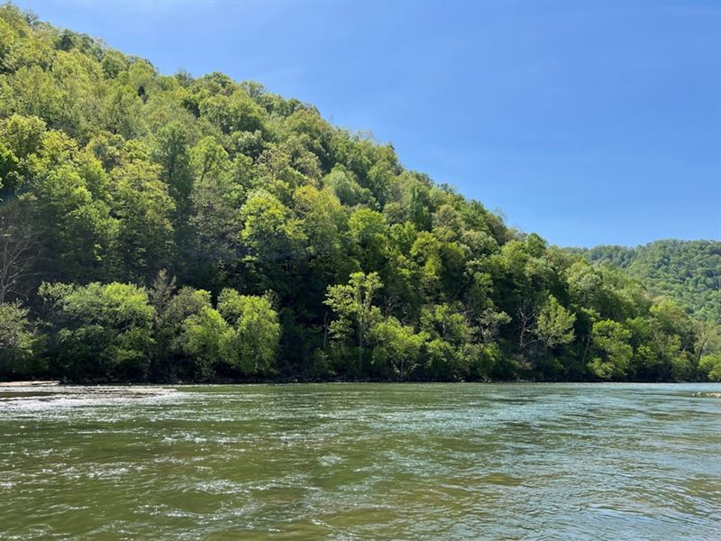 Midvale Colliery Co. & TA Deitz : Gauley Bridge : Fayette County : West Virginia