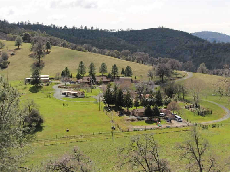 Tuolumne Ridge Ranch : Groveland : Tuolumne County : California