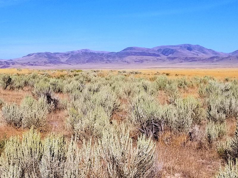 Great Views, 50 Acres for Adventure : Golconda : Humboldt County : Nevada