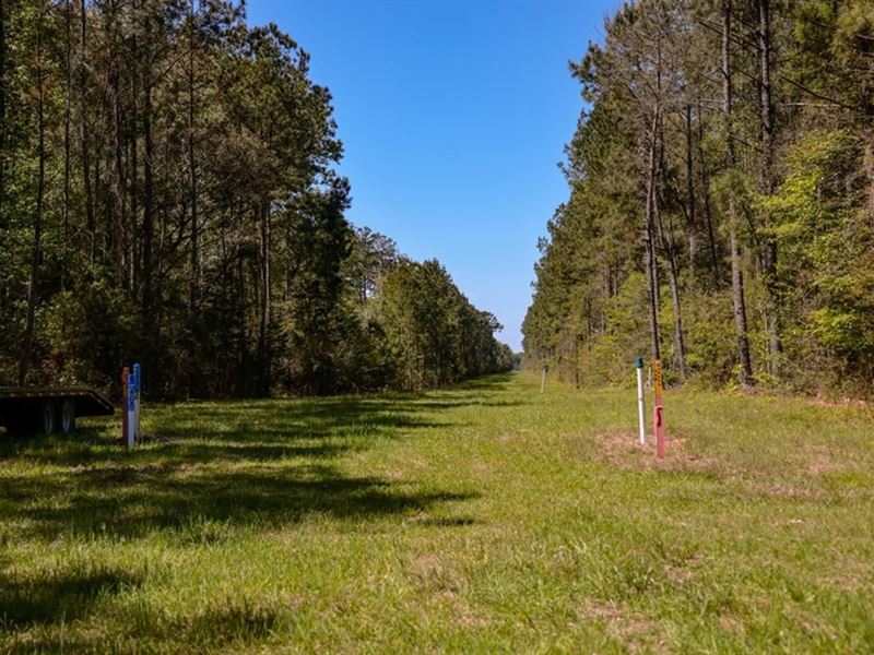 Hunting Land for Sale in East Baton, Farm for Sale in Louisiana