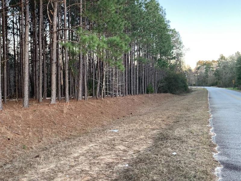 Prime Hunting Land or Investment : Portal : Bulloch County : Georgia