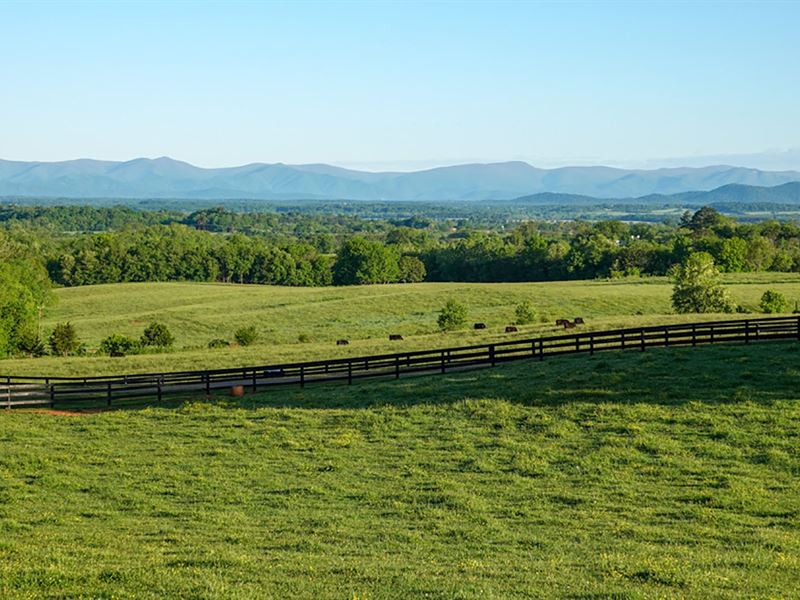 Outstanding Productive Farm in VA, Farm Auction in Virginia, #346843 ...