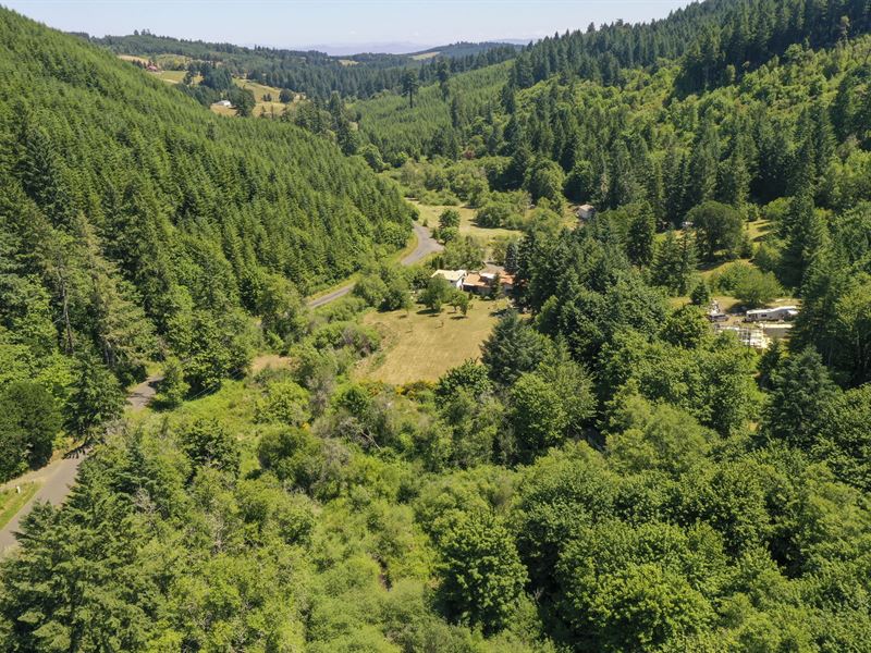 Timber and Recreational Investment : Junction City : Lane County : Oregon