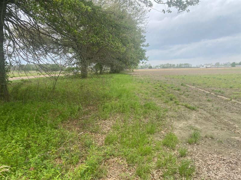 Ms, Leflore 12 Acres : Greenwood : Leflore County : Mississippi