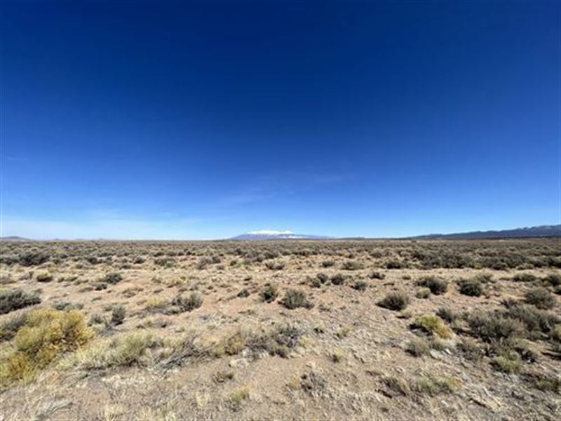 $166/Mo, 3 Min From River : Sanford : Costilla County : Colorado