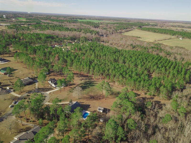 47 Acres In Worth County Ga Farm Auction In Georgia 347807 Farmflip 9470