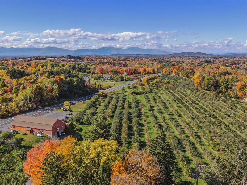 Orchard For Sale Ny