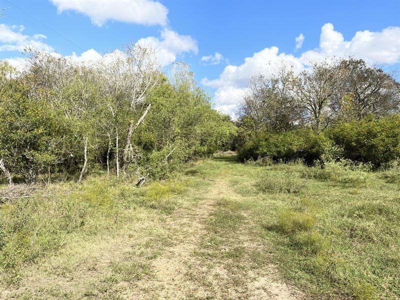 Rice-Davis Road Ranchette 13.14 ac : Yoakum : Dewitt County : Texas