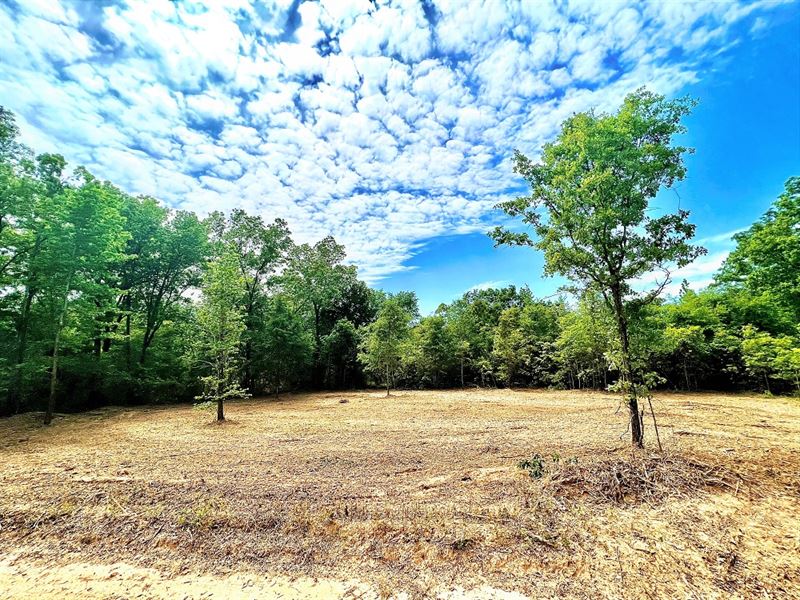 Excellent Homesite Farm For Sale In Georgia 348494 FARMFLIP