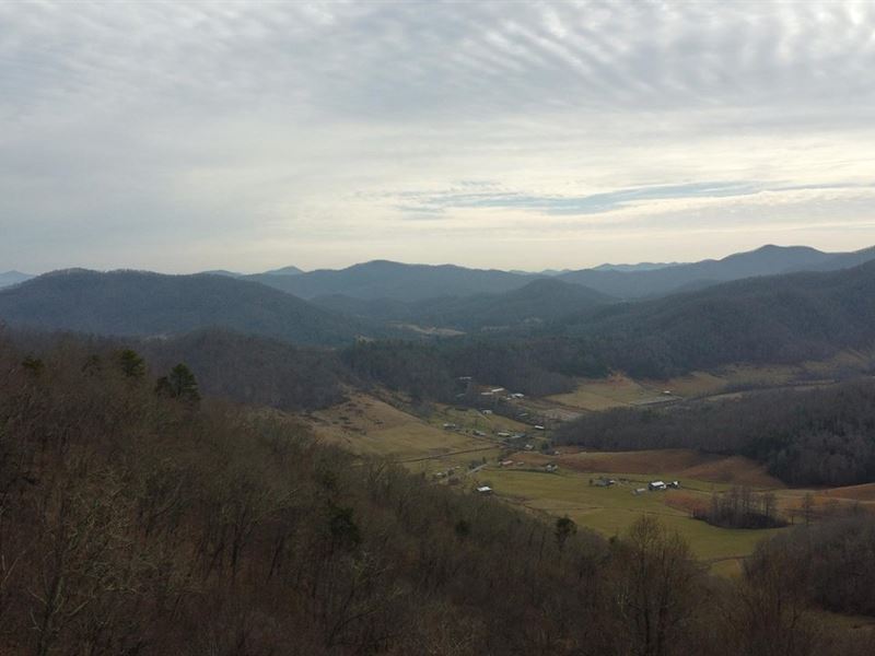 75 Unrestricted Acres in Buncomb : Leicester : Buncombe County : North Carolina