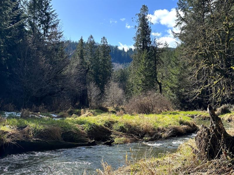 South Fork : Alsea : Benton County : Oregon