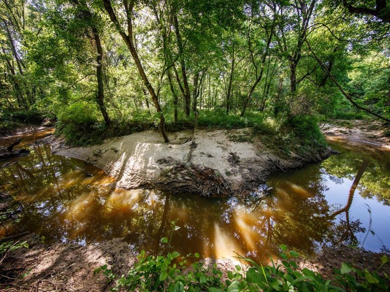 Carroll Creek Ranch : Como : Wood County : Texas