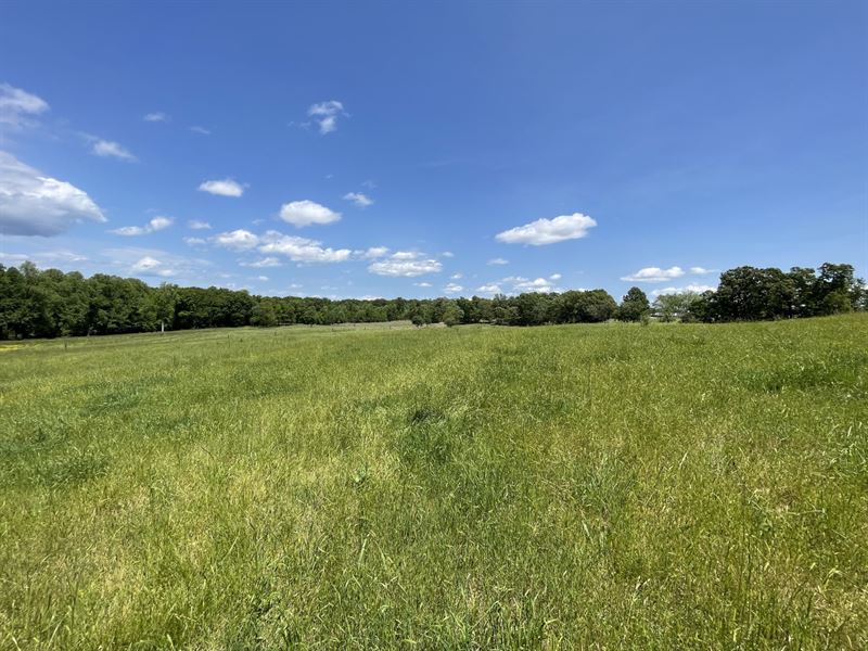 61 Acres, White County, GA, Farm for Sale in Georgia, #349243 : FARMFLIP