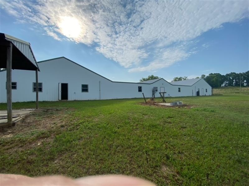 4 Breeder Houses with 80 Acres : Clio : Barbour County : Alabama