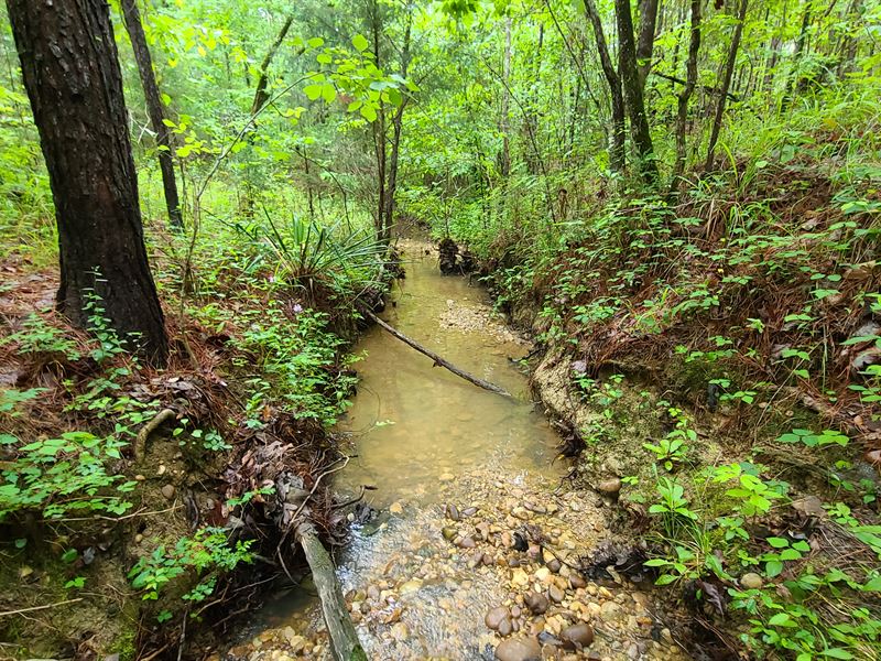 Black Belt Recreational Retreat : Pleasant Hill : Lowndes County : Alabama