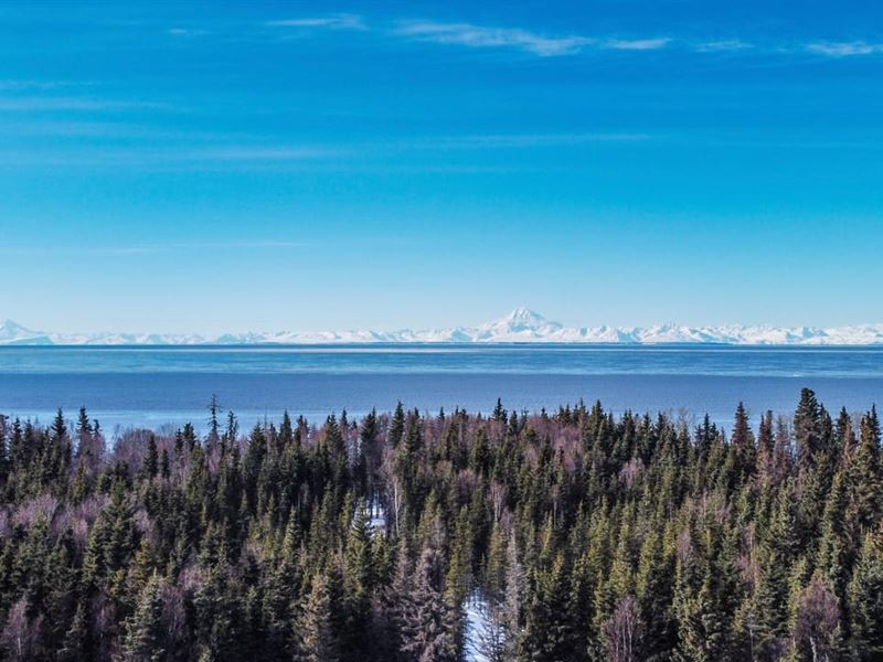 11.17 Acres K-Beach Ocenafront Moun : Kenai : Kenai Peninsula Borough : Alaska