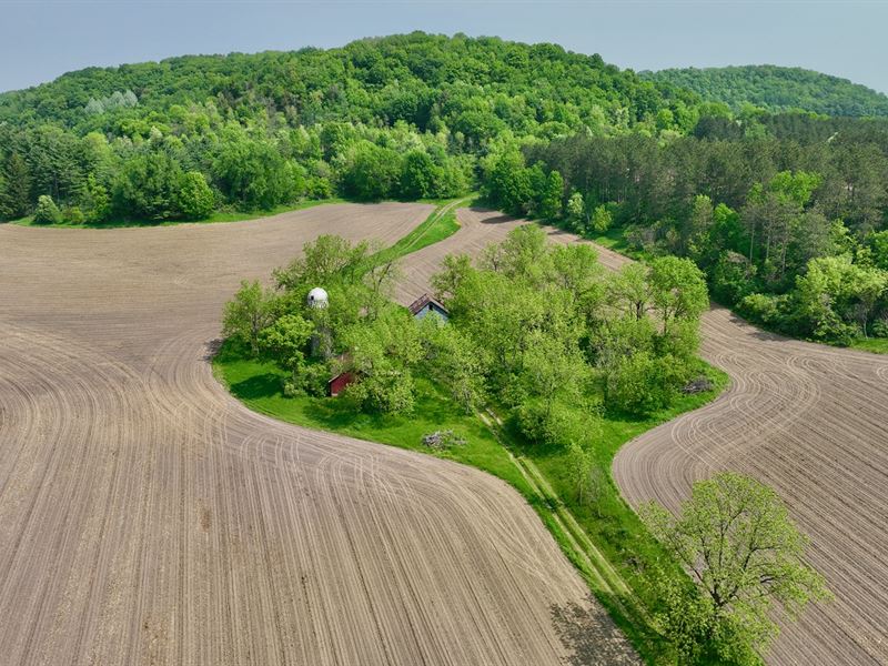 112 Acres in Pepin County : Eau Galle : Pepin County : Wisconsin