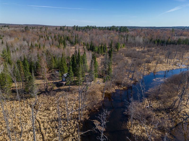 Au Sable River 210 : Roscommon : Roscommon County : Michigan