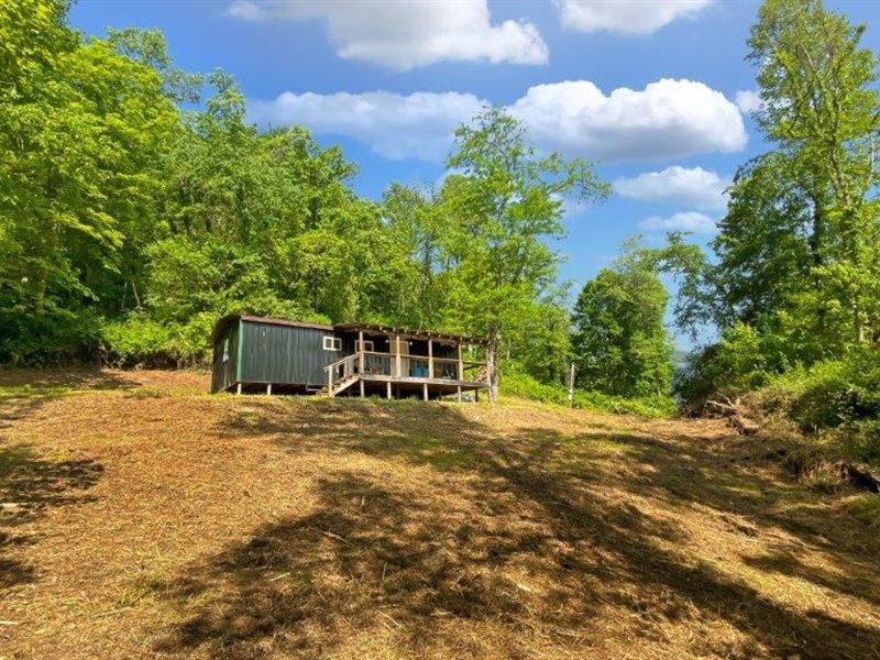 Must See Riverfront Hunting Land, Farm for Sale in Ohio, 350335 FARMFLIP