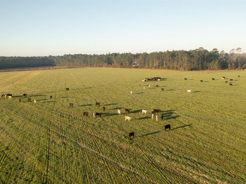 Comstock Road Farm : Elberta : Baldwin County : Alabama