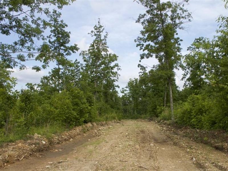 11.48 Acres in Shannon County, MO : Birch Tree : Shannon County : Missouri