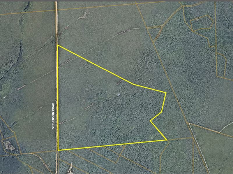 162 Acres Former Wilderness Camp : Woodland : Burlington County : New Jersey