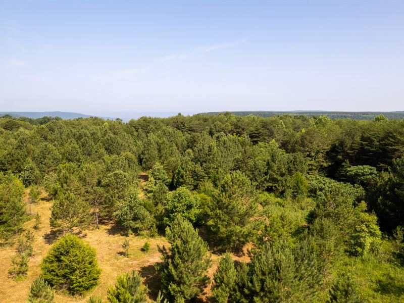 North Sand Mountain Mini-Farm : Bryant : Jackson County : Alabama