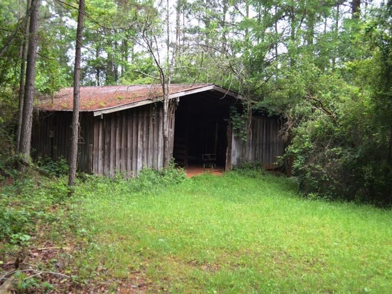 42 Acres, 00 Pondero : Townville : Anderson County : South Carolina