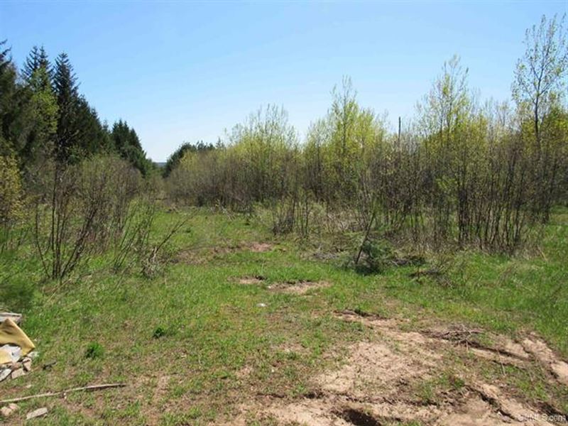 U.P. Michigan Wooded 40 Acres 50111 : Mohawk : Keweenaw County : Michigan