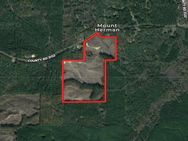 68.5 Acres in Attala County in West : West : Attala County : Mississippi