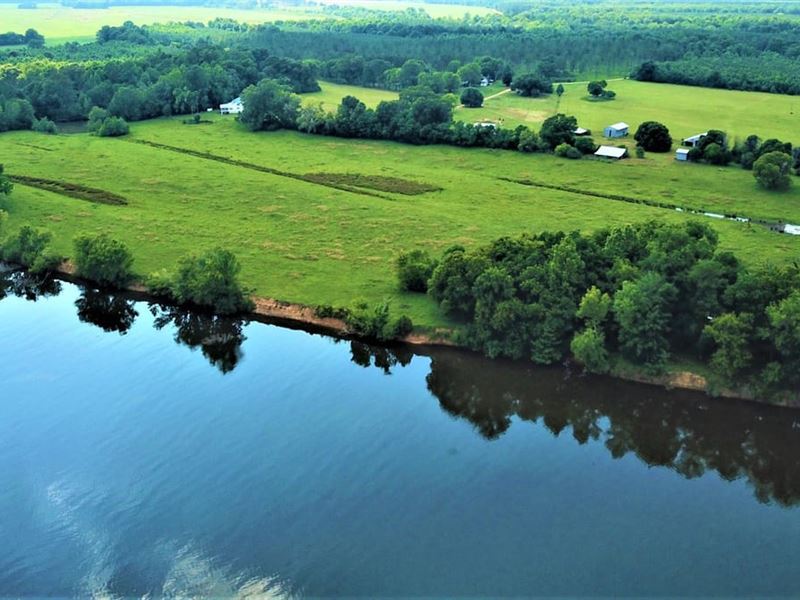 Molett Farm, 83 Acres in Dallas : Orrville : Dallas County : Alabama