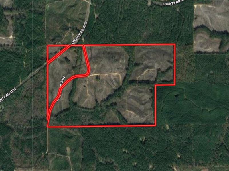 236.9 Acres in Attala County in Wes : West : Attala County : Mississippi