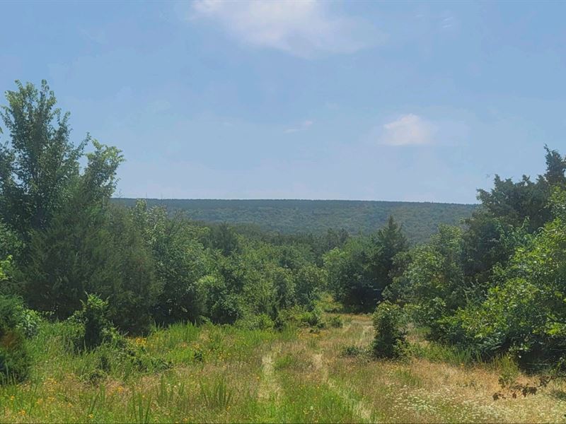 Joslin Valley Tract E : Snow : Pushmataha County : Oklahoma