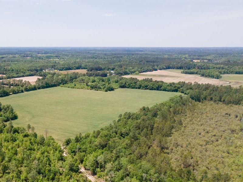 68 Acres Southeast Bulloch County : Brooklet : Bulloch County : Georgia