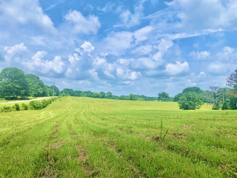 Beautiful Pasture, Road Frontage : Griffin : Spalding County : Georgia