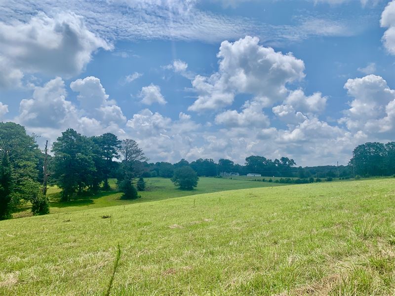 Rolling Pasture, Barn, Farm for Sale in Georgia, #353285 : FARMFLIP