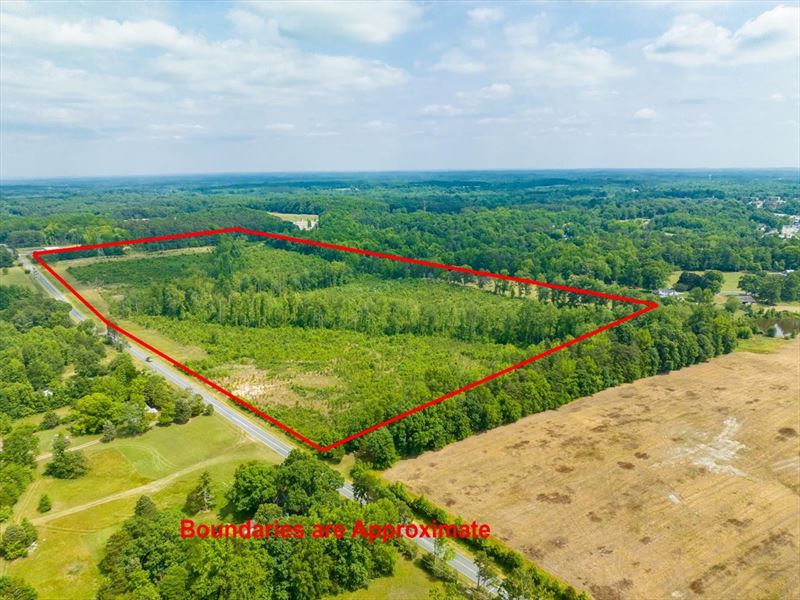 Acreage Ideal for Subdivision : Pleasant Garden : Guilford County : North Carolina