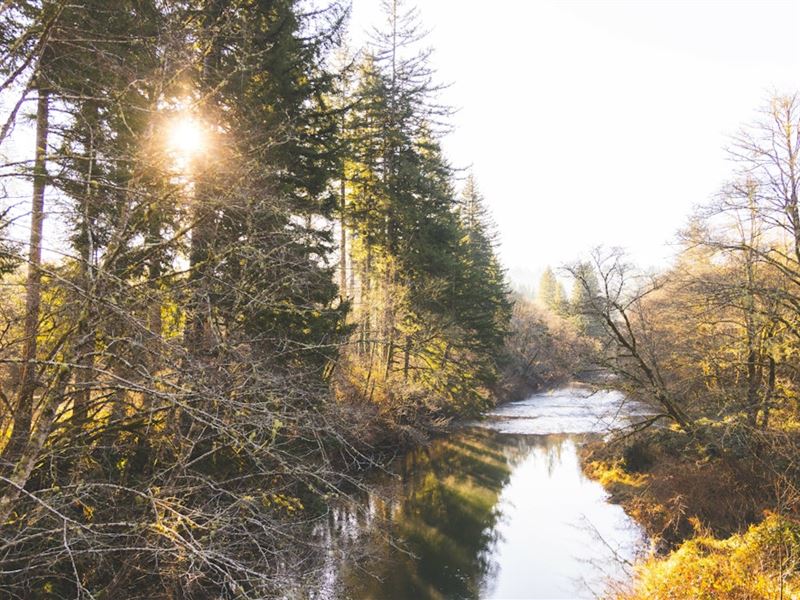 Trapp Creek : Eddyville : Lincoln County : Oregon