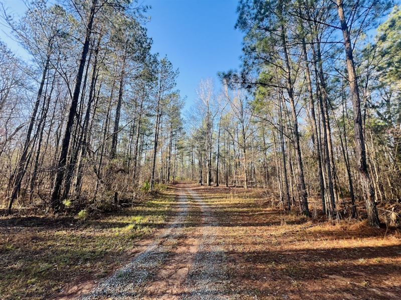 Forestaire Farms : Gray : Jones County : Georgia