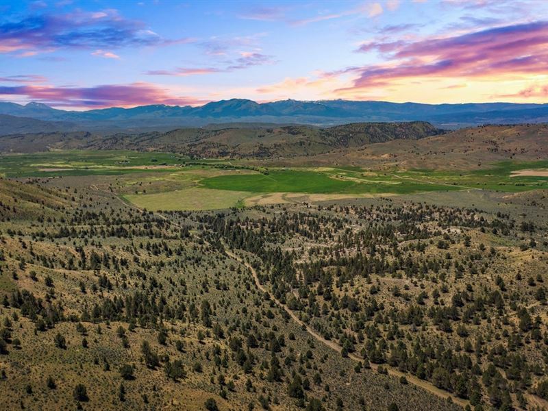 Four S Land & Cattle : Hereford : Baker County : Oregon